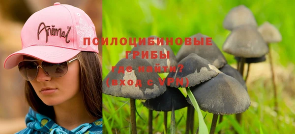 ешки Балахна