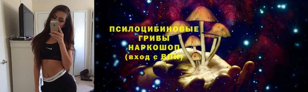 ешки Балахна
