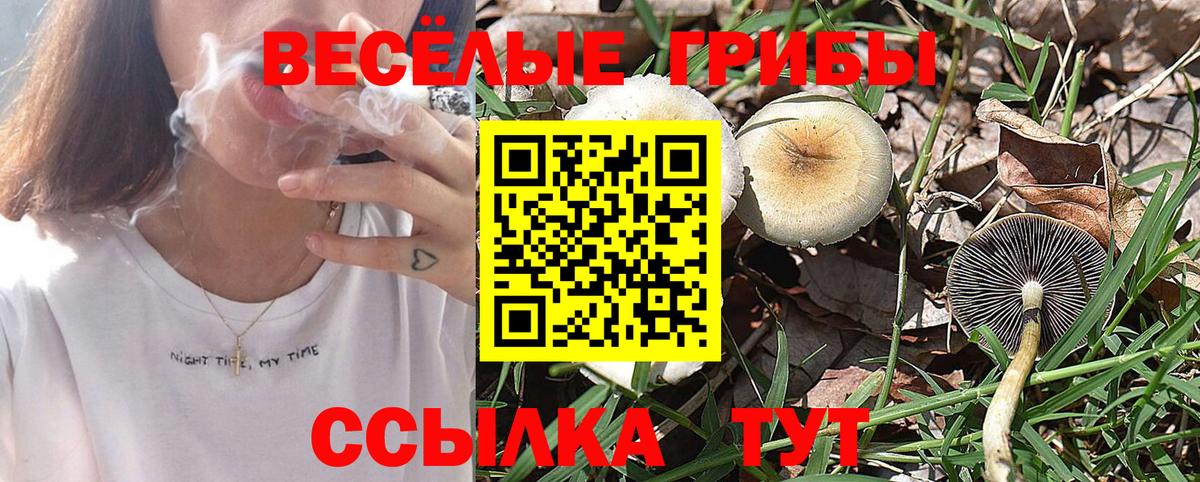 Галлюциногенные грибы GOLDEN TEACHER  Вход с VPN  Соль-Илецк 