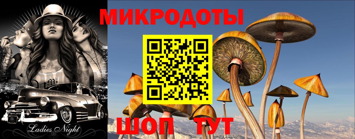 Псилоцибиновые грибы Magic Shrooms Соль-Илецк