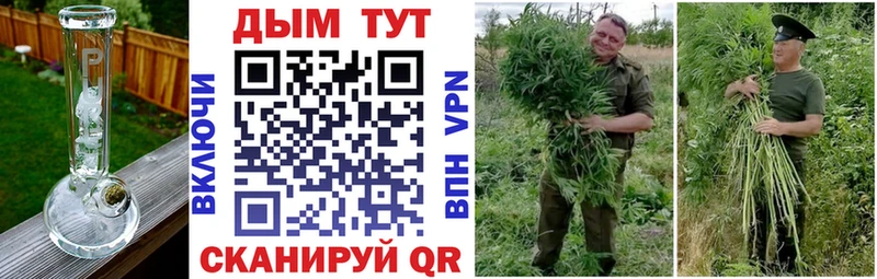 МАРИХУАНА план  цены наркотик  shop Telegram  Соль-Илецк 
